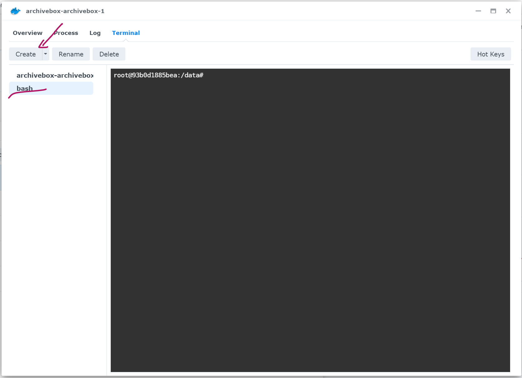 Screenshot of the synology docker terminal page