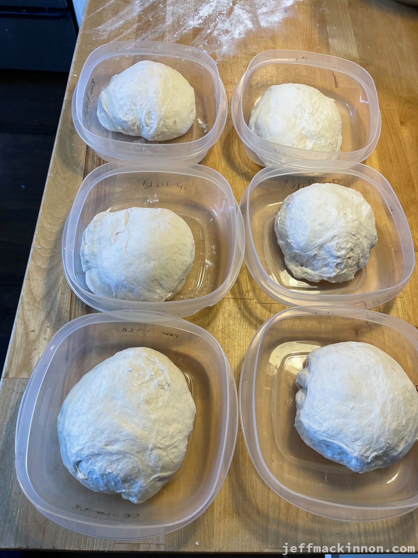 Ready for the freezer