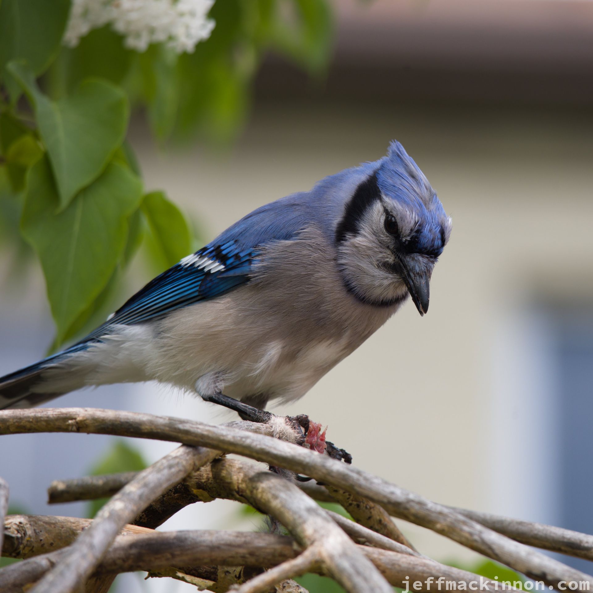 crazy skies out there