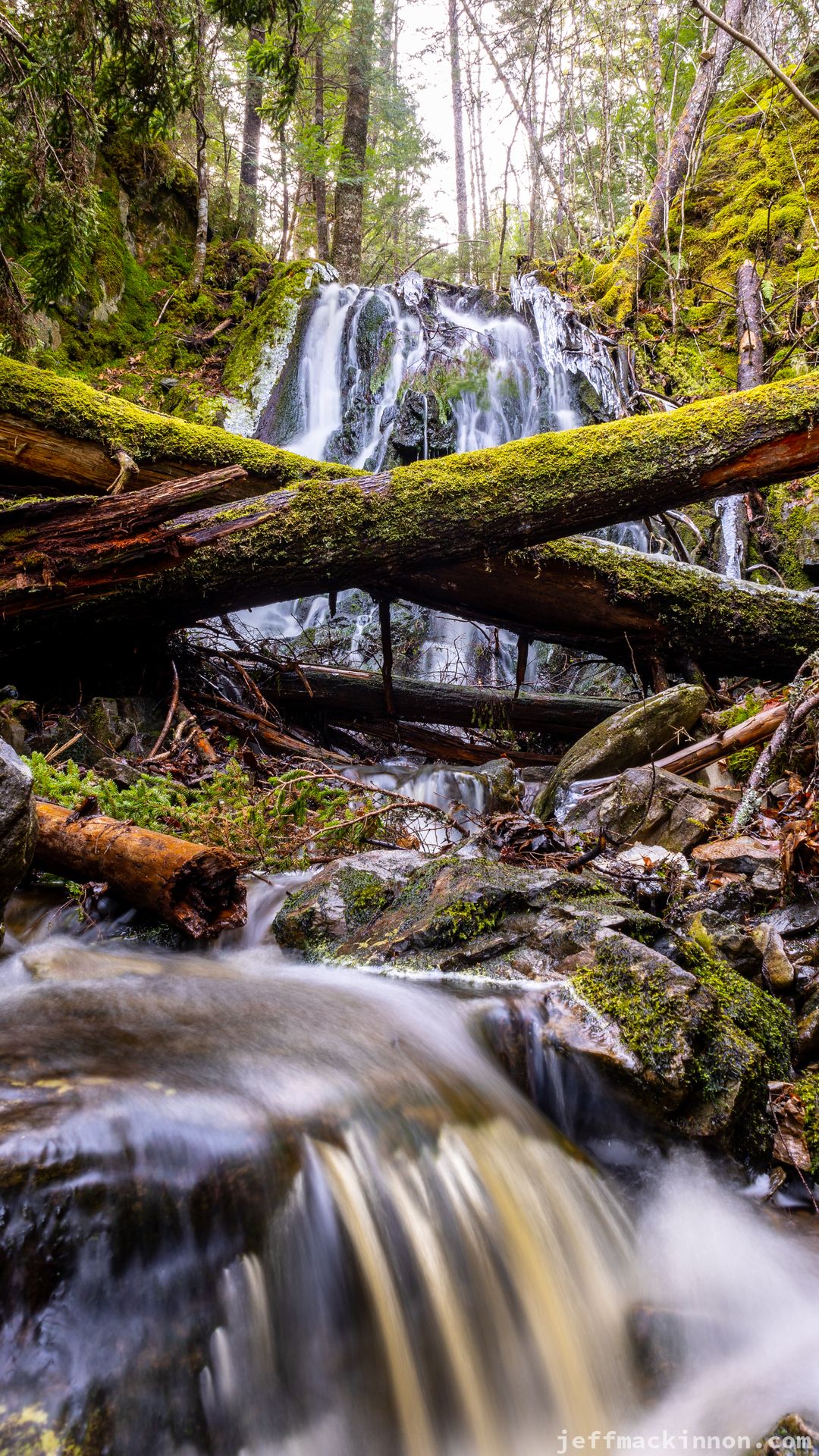 Waterfall in the forest with stream in the foreground