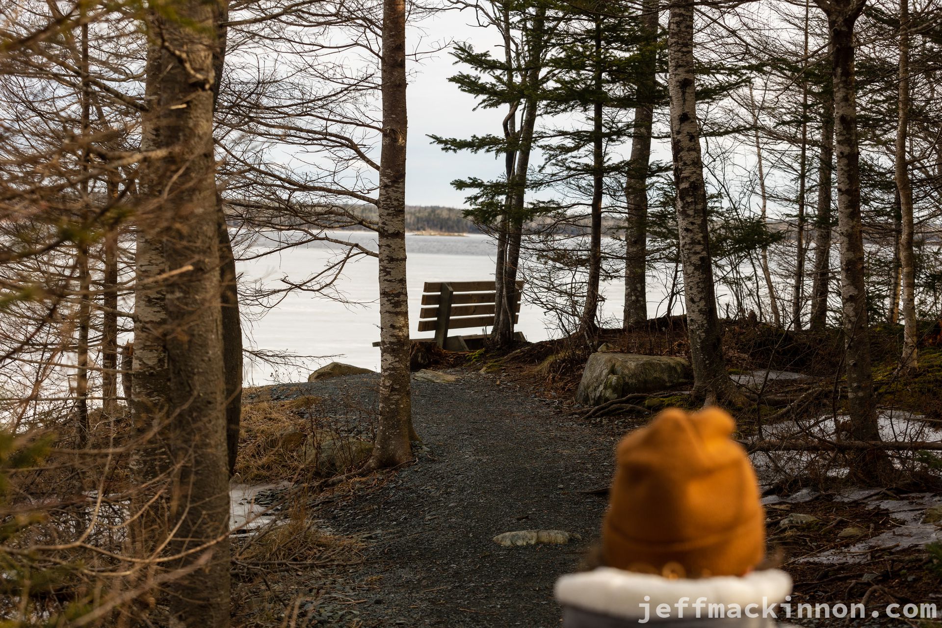 the first bench view