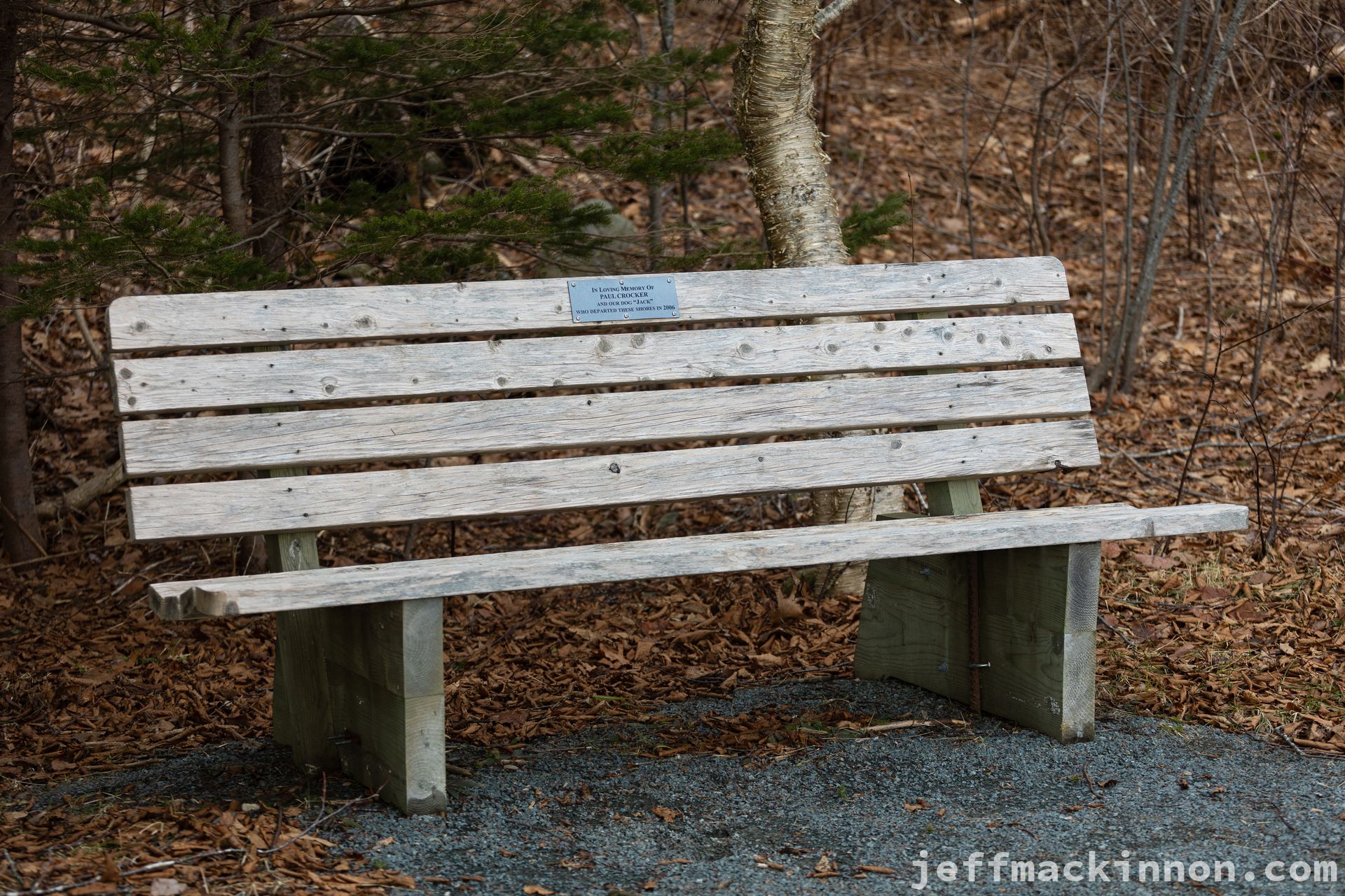 Bench view example number 2