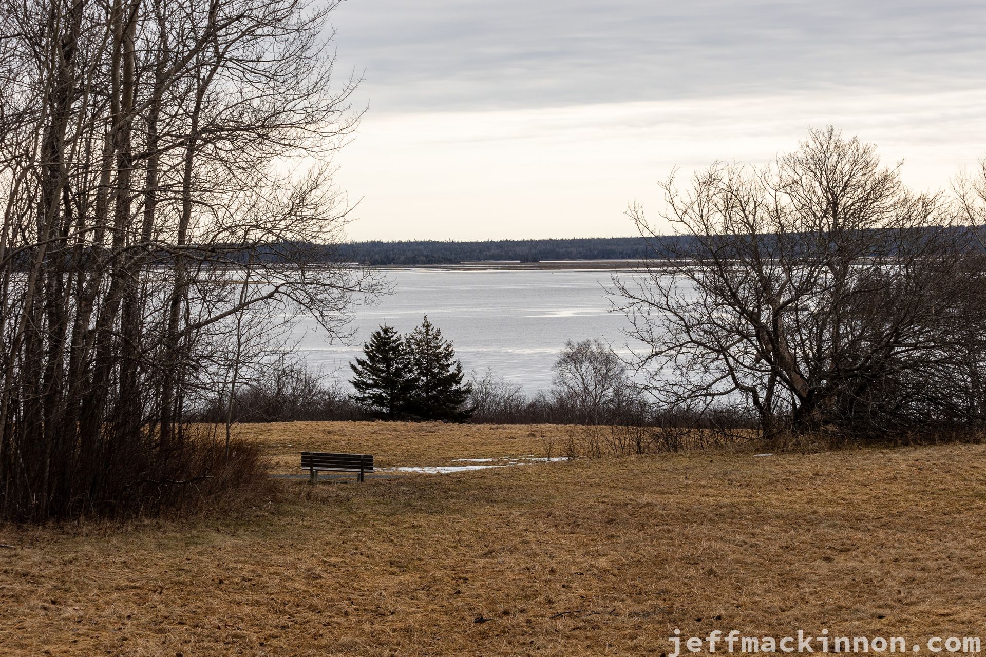 Bench view #3