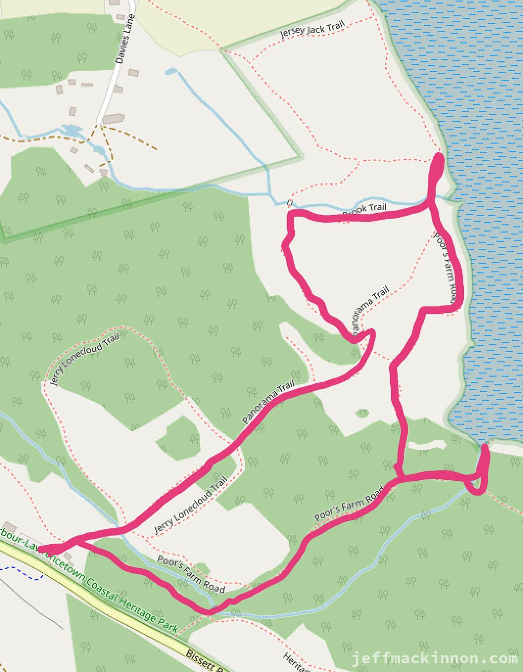 The walking track