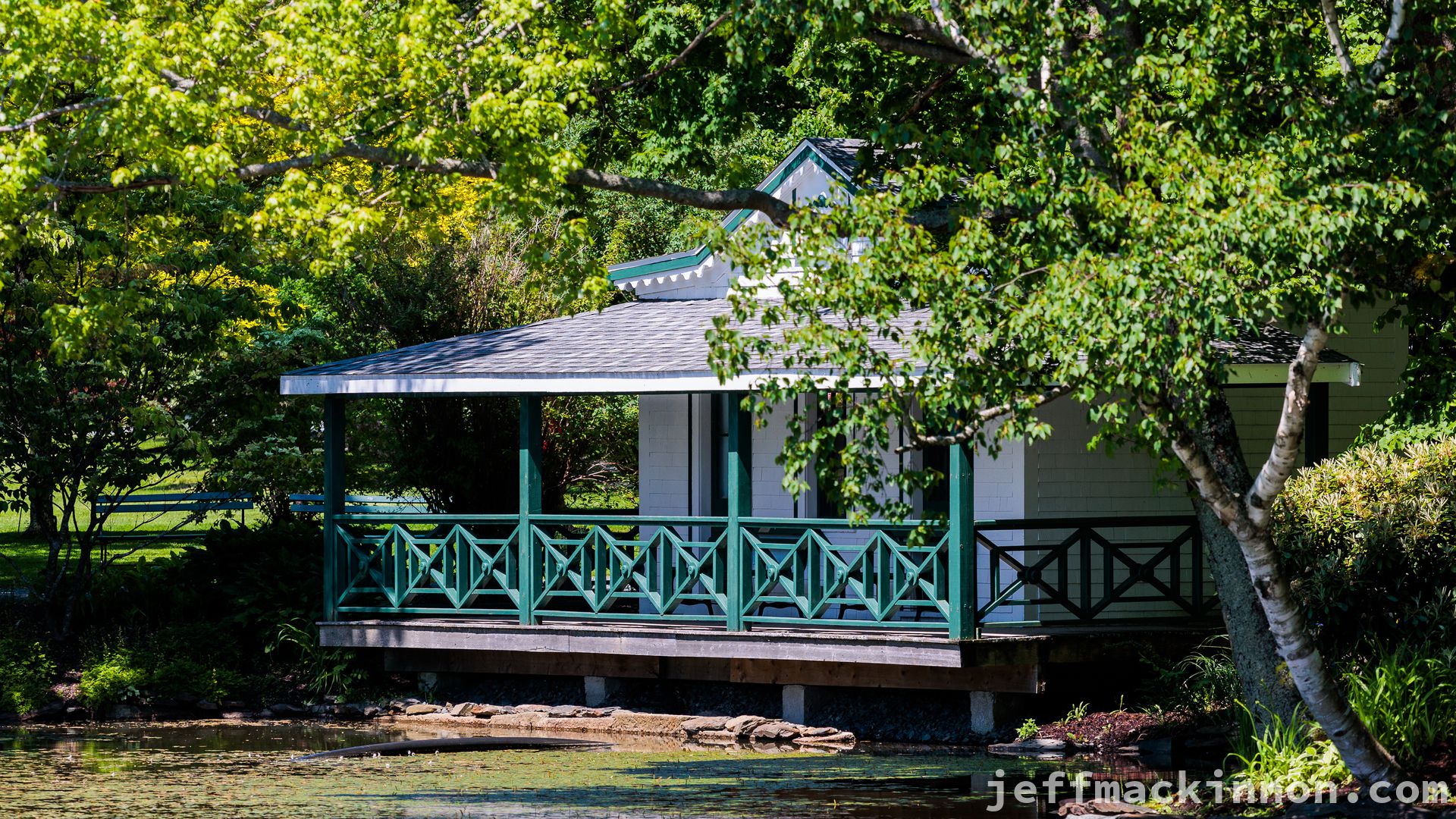 Shed by the pond