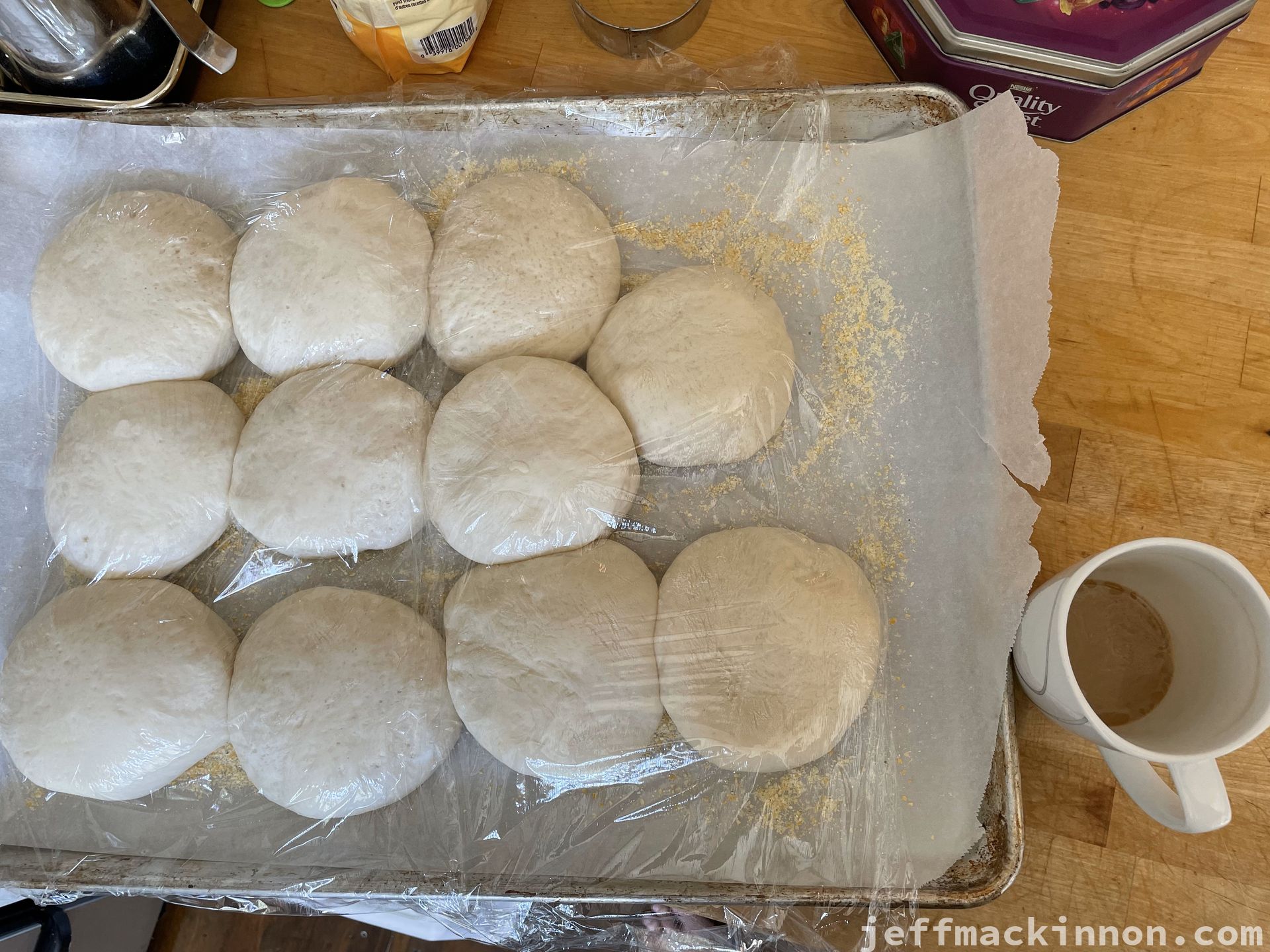 english muffins proofing and getting huge