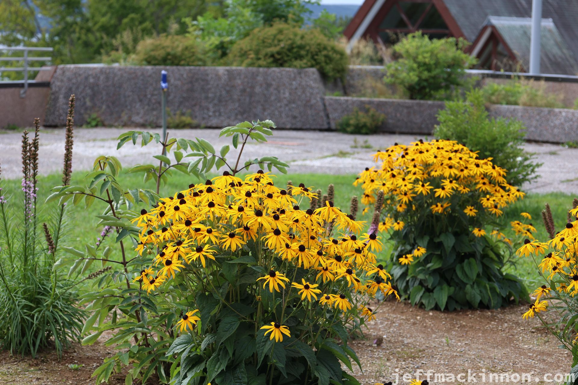 Flowers at the Mabel Bell Garden