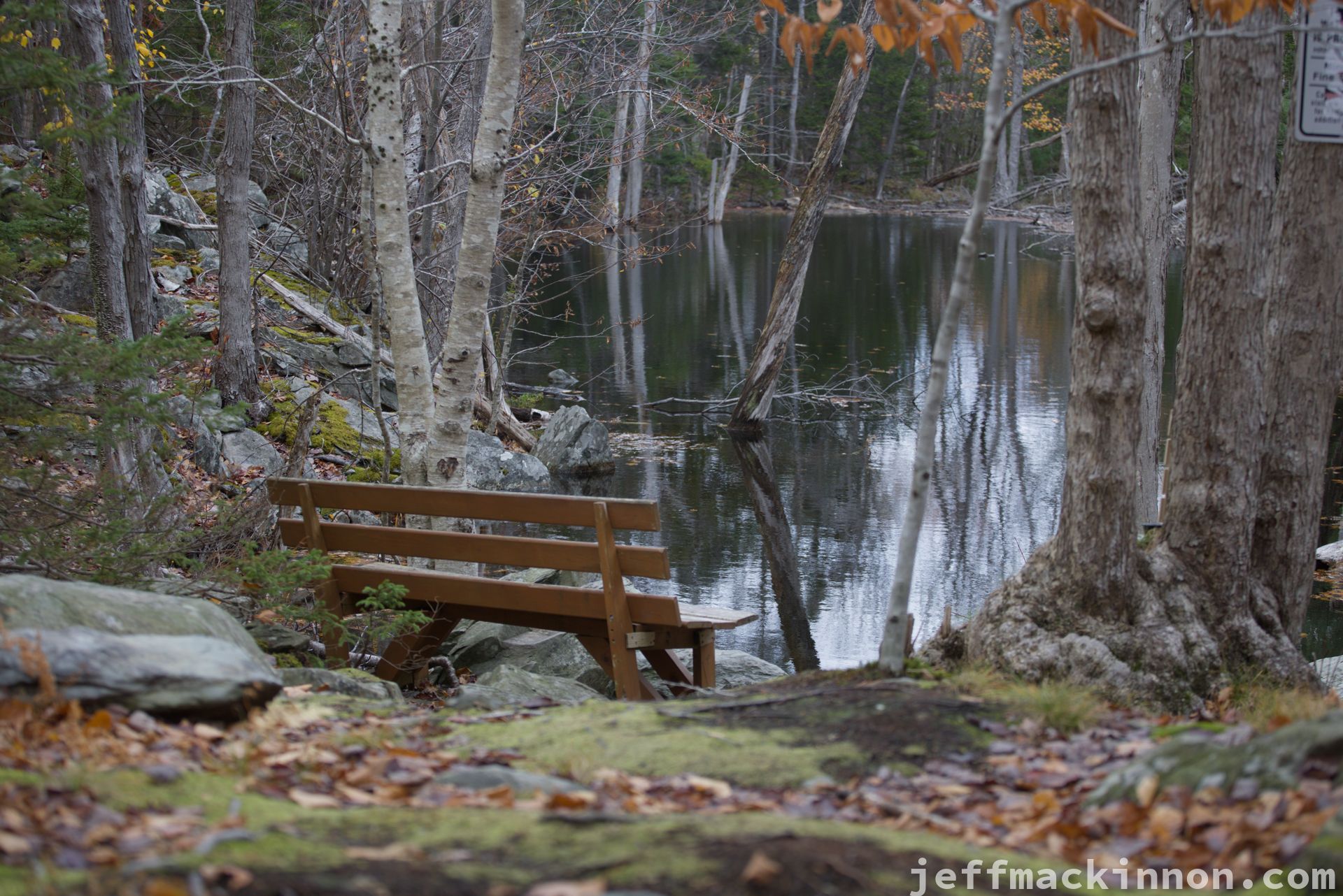 bench views, bench facing a quiet pond.