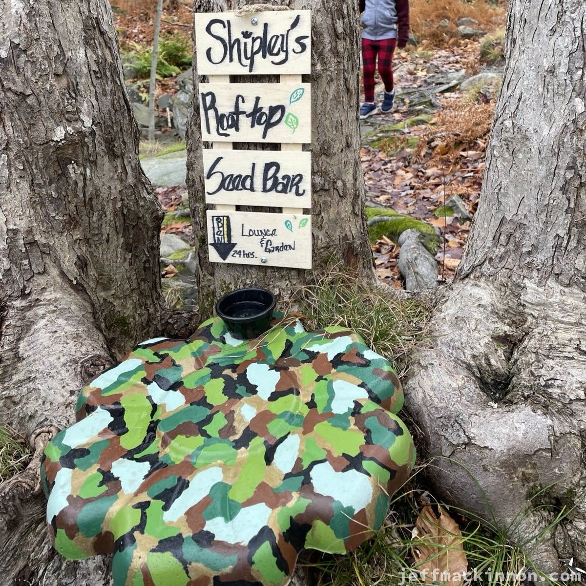 A sign saying Shipley's Rooftop seedbar with a "camo" flower shaped thing for the seeds.