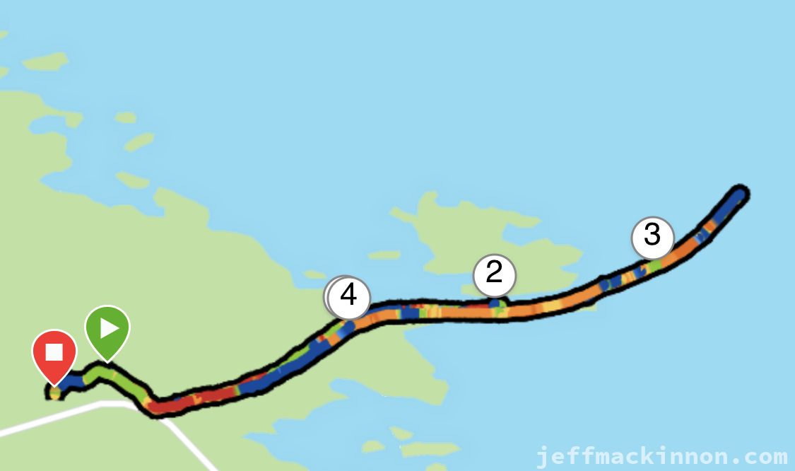 Partial Track of the wander